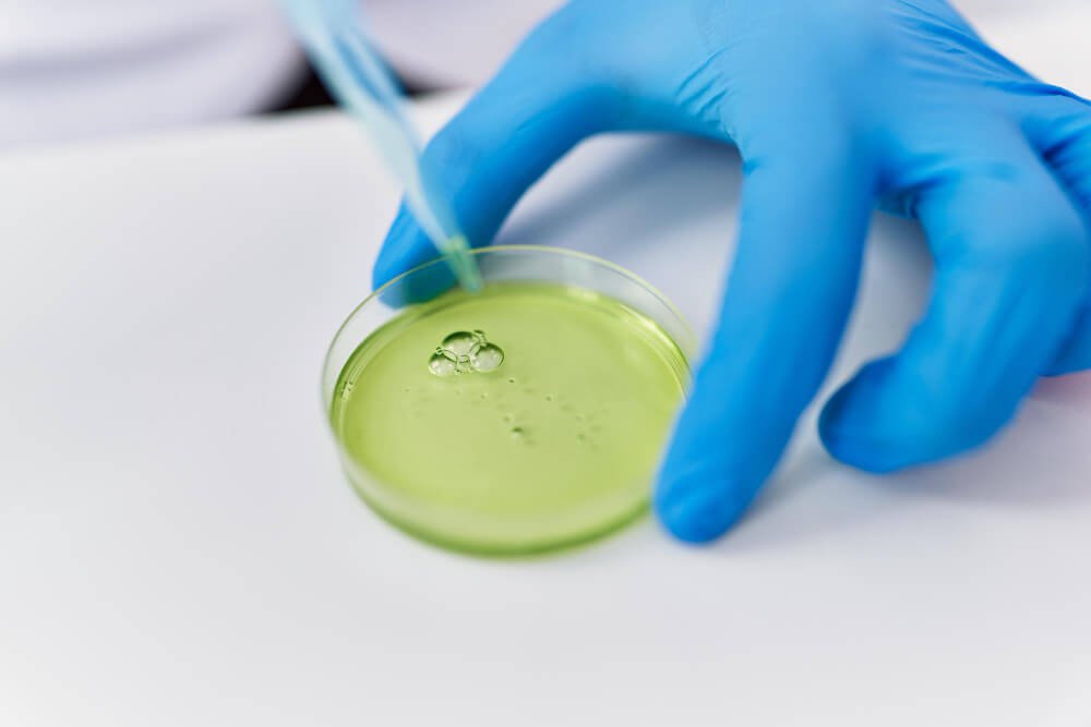 How Microdosing Is Changing Wellness: A Revolutionary Approach to Health