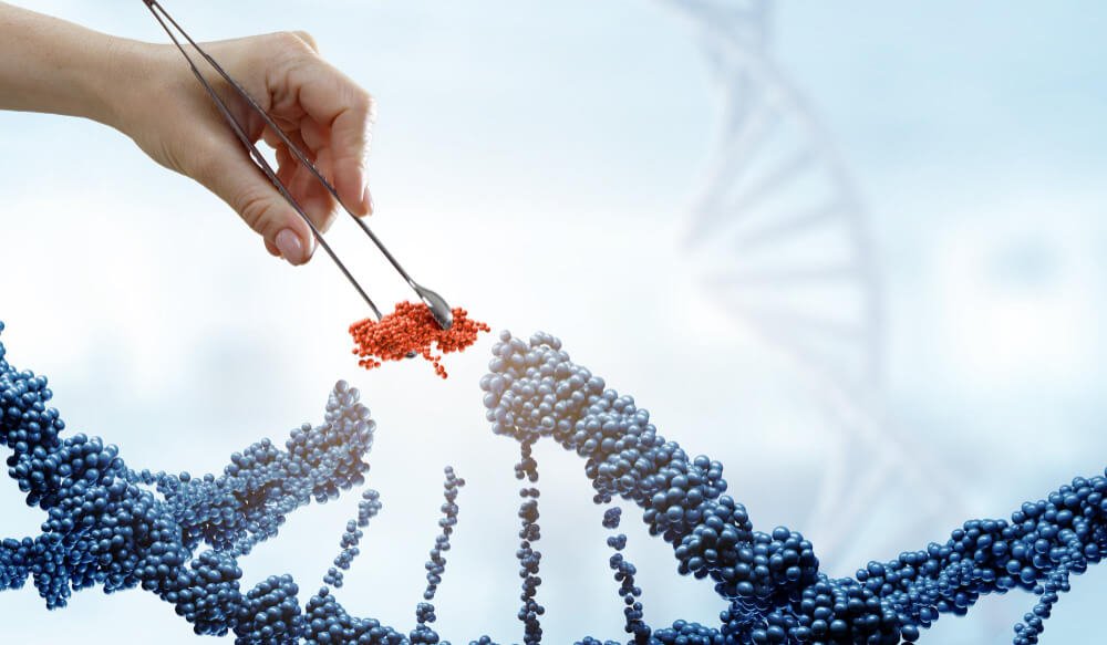 Understanding NAD+: The Molecule That Powers Your Cells